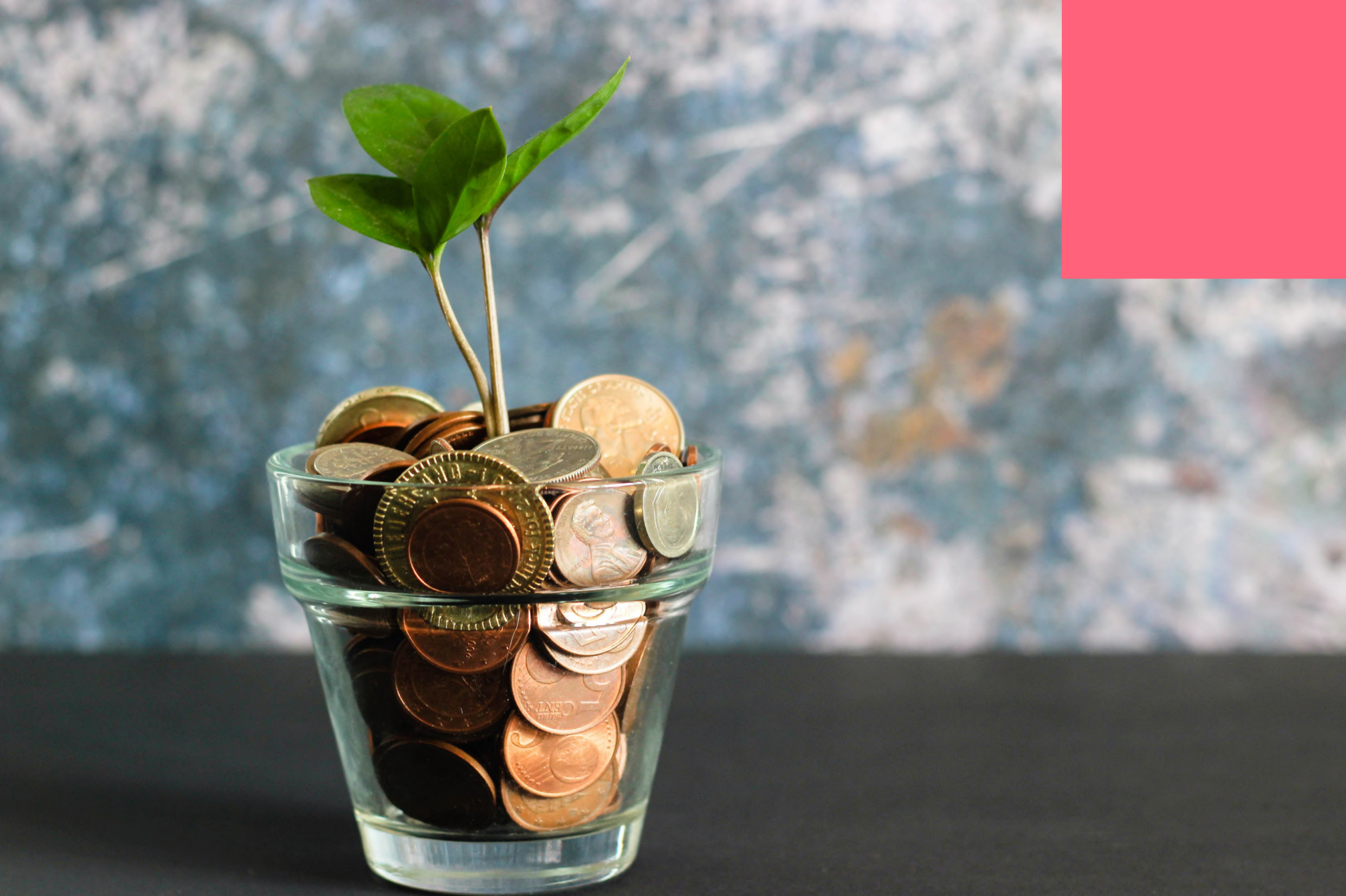 On venture capital and startup funding